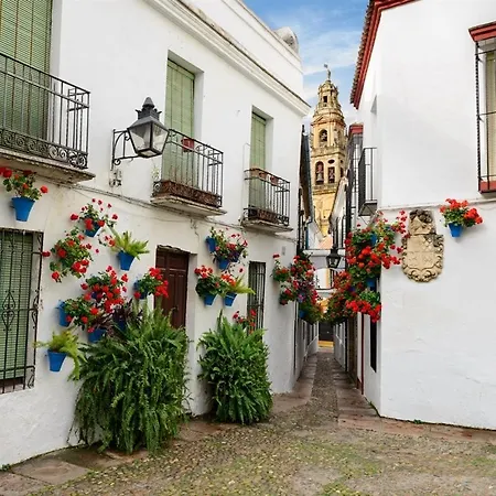El Patio De San Miguel * 科爾多瓦